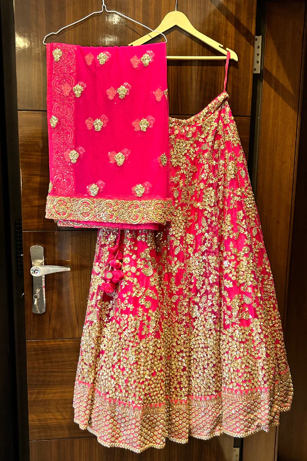 Sabyasachi embroidered pink lehenga - Image 5