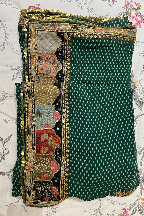 Sabyasachi Green chiffon saree - Image 4
