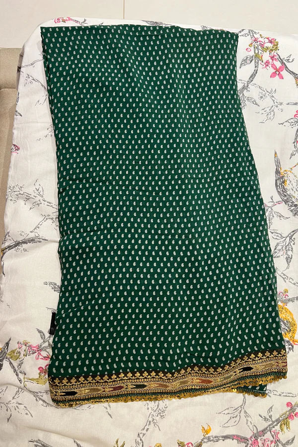 Sabyasachi Green chiffon saree - Image 5