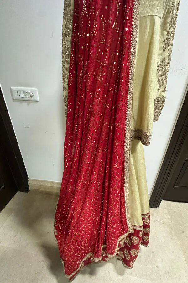 Sabyasachi Lehenga Set - Image 3