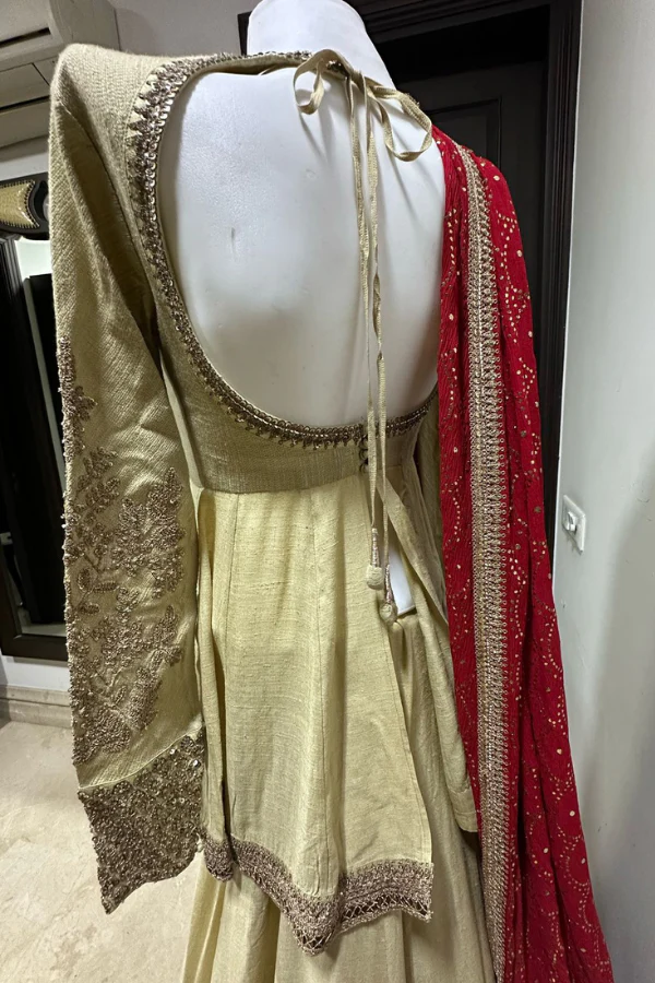 Sabyasachi Lehenga Set - Image 4