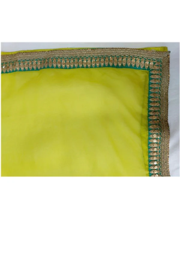 Sabyasachi multicolor lehenga set - Image 5