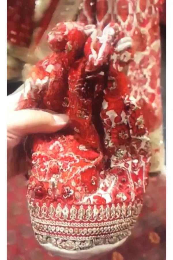 Sabyasachi red bridal lehenga - Image 6