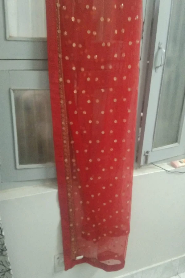 Sabyasachi red bridal lehenga - Image 6