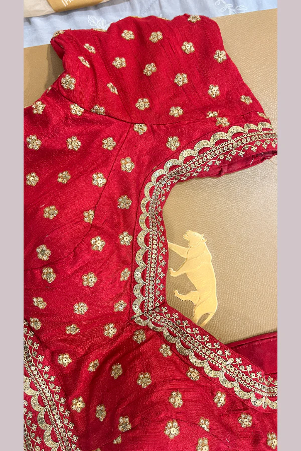 Sabyasachi Red Embroidered Saree - Image 6