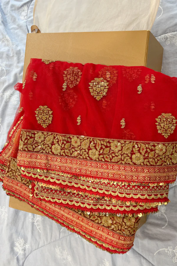 Sabyasachi Red Embroidered Saree - Image 7