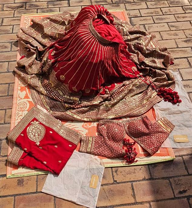 Sabyasachi Red & Gold Banarasi Lehenga Set - Image 5