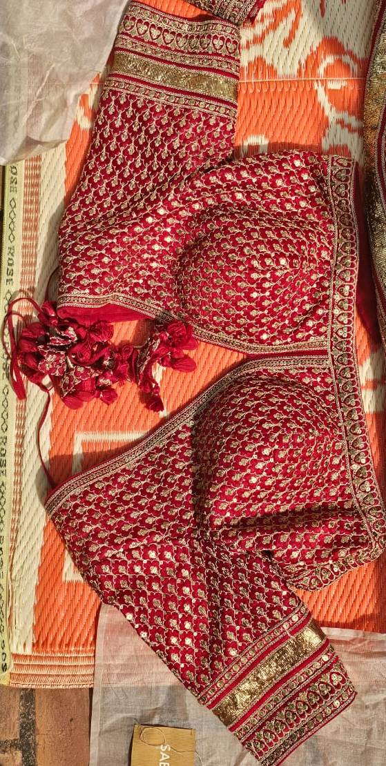 Sabyasachi Red & Gold Banarasi Lehenga Set - Image 6