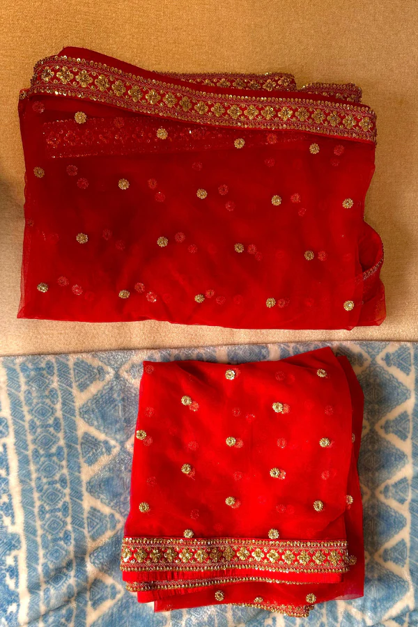Sabyasachi Red Rang Mahal Lehenga Set - Image 5