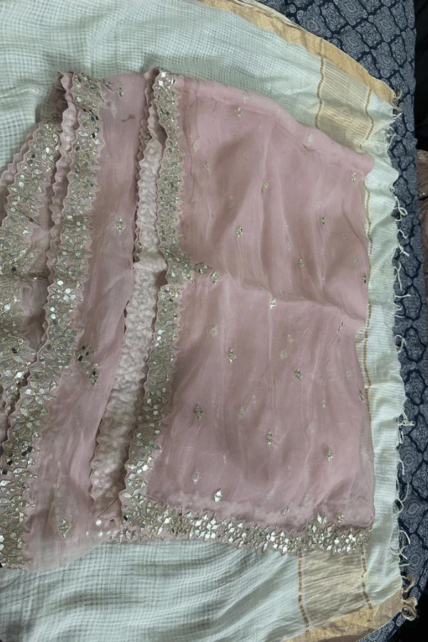 Seema Gujral Blush pink lehenga - Image 5