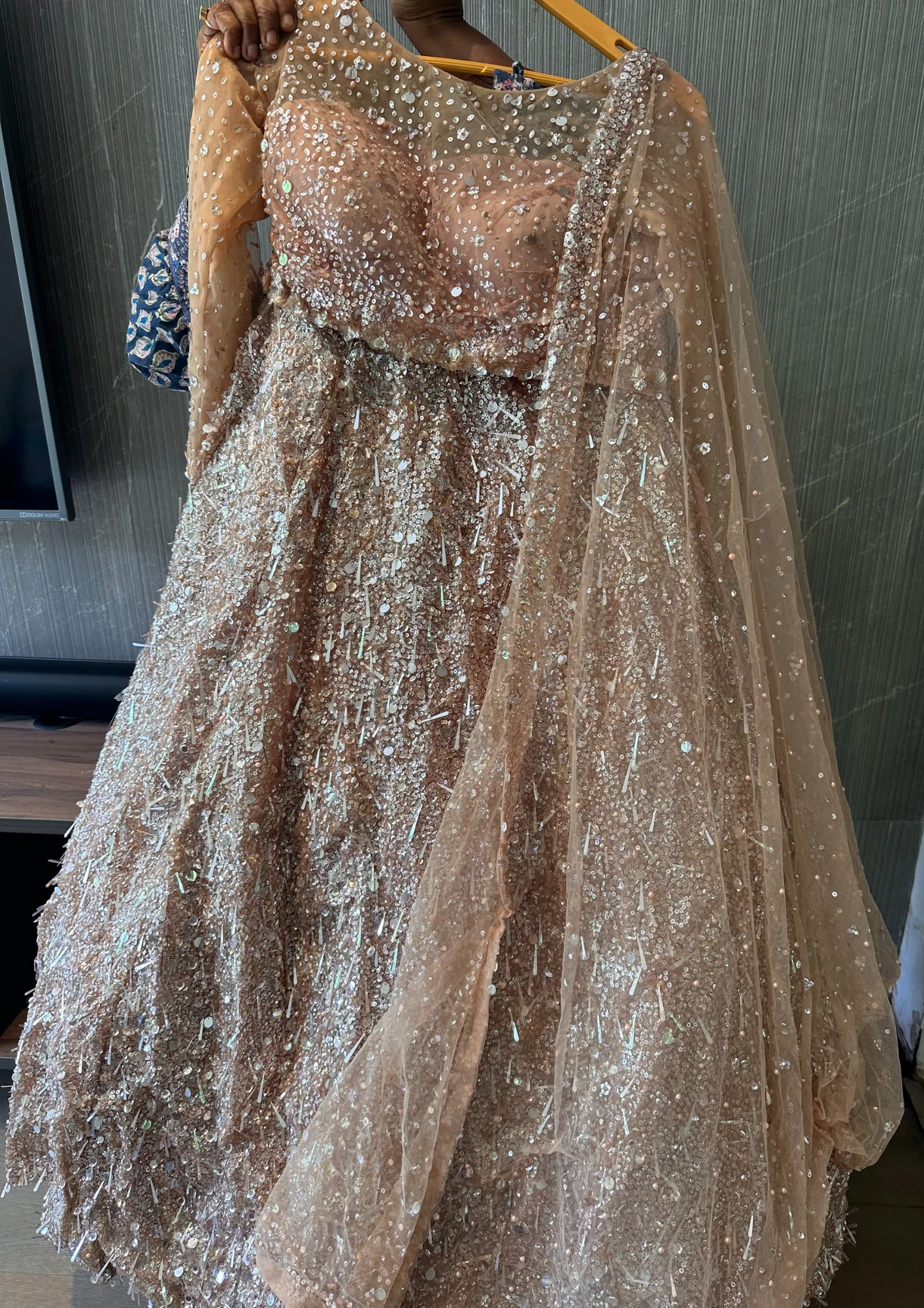 Seema Gujral Nude Embroidered Lehenga Set - Image 2