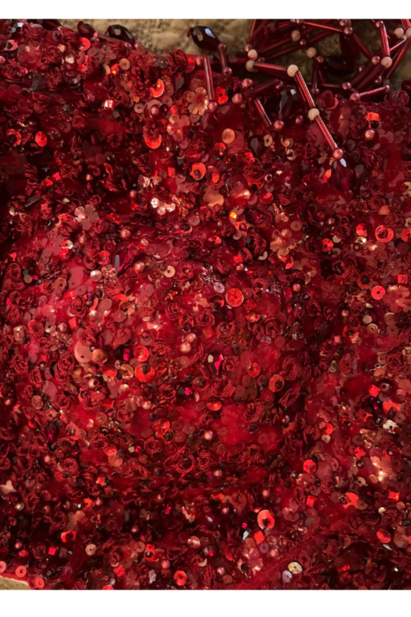 Seema gujral red 3D floral lehenga - Image 7