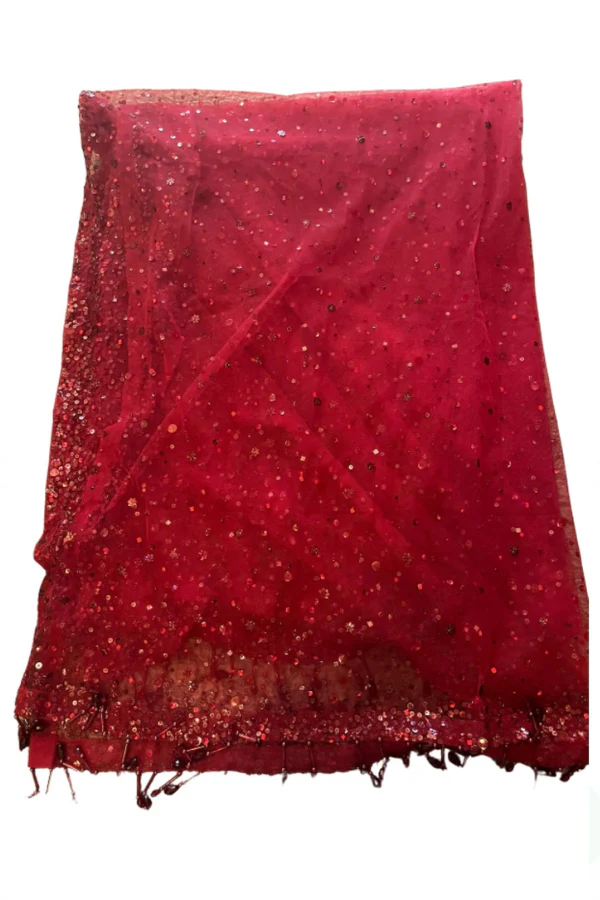Seema gujral red 3D floral lehenga - Image 8