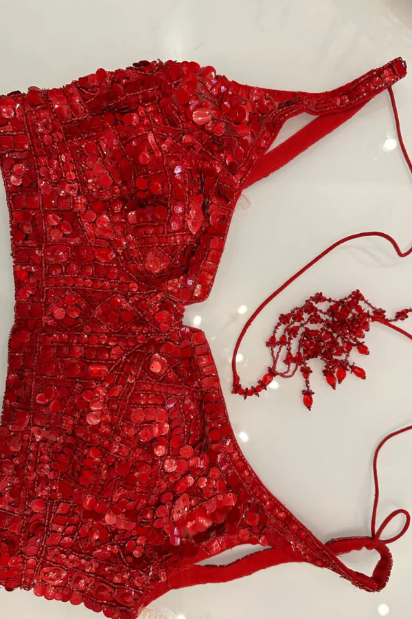 Seema Gujral red embellished lehenga - Image 5
