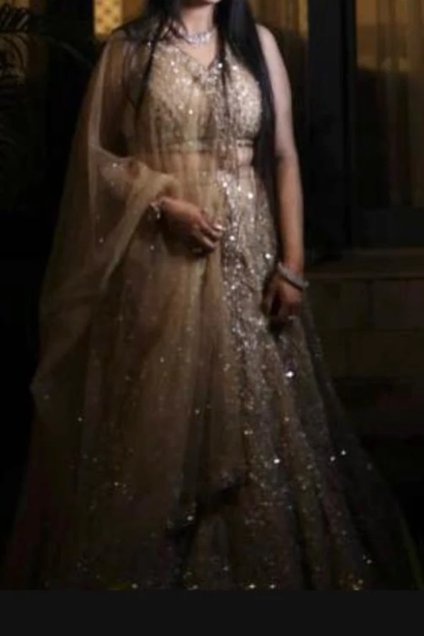 Seema Gujral Sequin Embellished Lehenga Set - Image 5