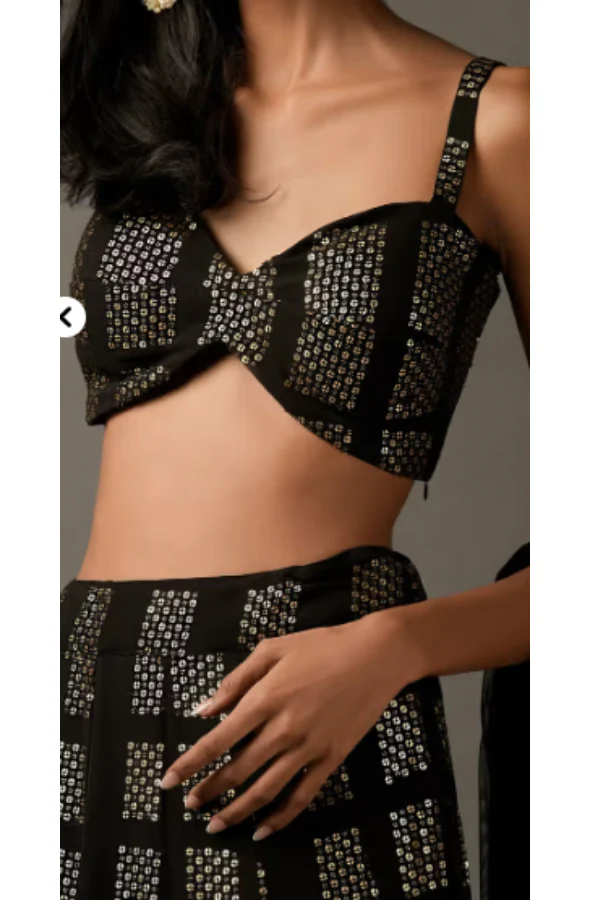 Sequin Embroidered Lehenga Set - Image 5