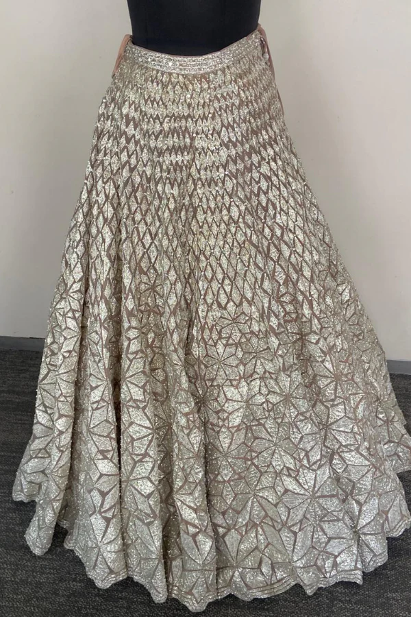 Shimmer Lehenga set - Image 4