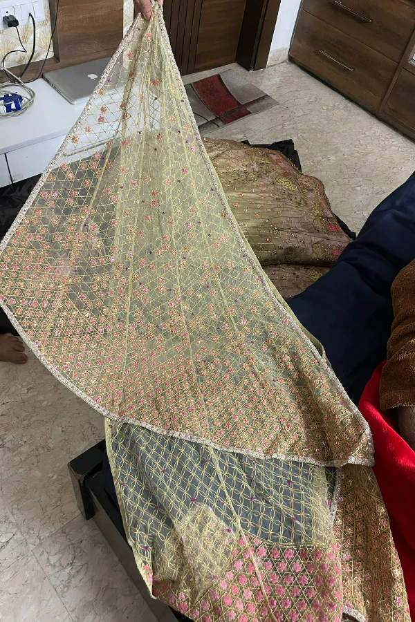 Sulakshana Monga Embellished lehenga - Image 7