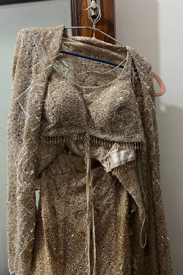 Surabhi Chopra Beige mermaid lehenga set - Image 3
