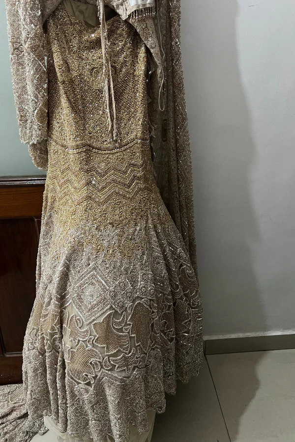 Surabhi Chopra Beige mermaid lehenga set - Image 4