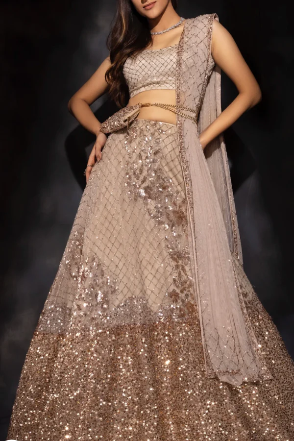 embellished Lehenga set