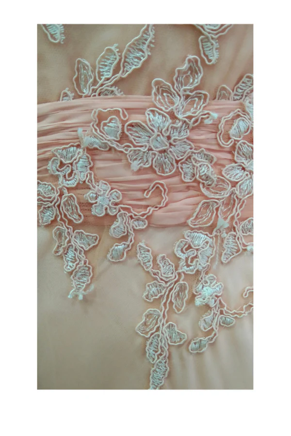 tanieya kanuja anarkali gown - Image 4