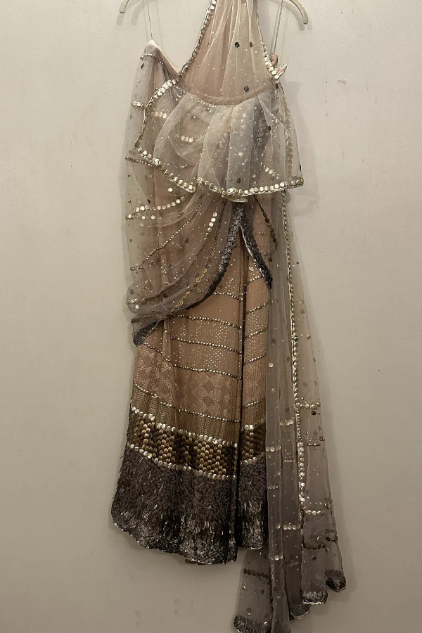 Tarun Tahiliani beige embellished saree - Image 2