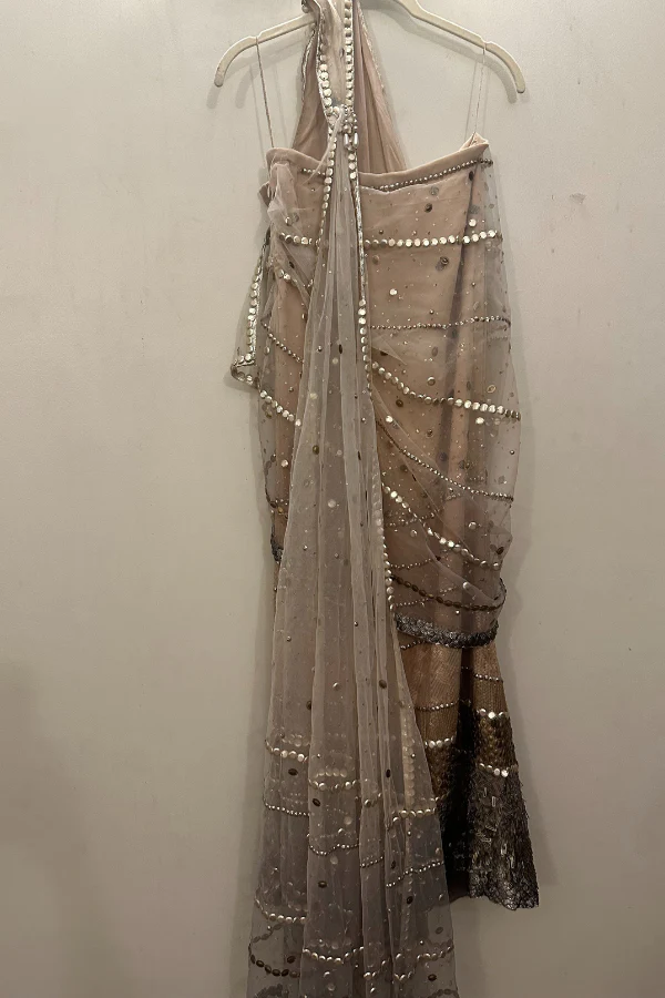 Tarun Tahiliani beige embellished saree - Image 3