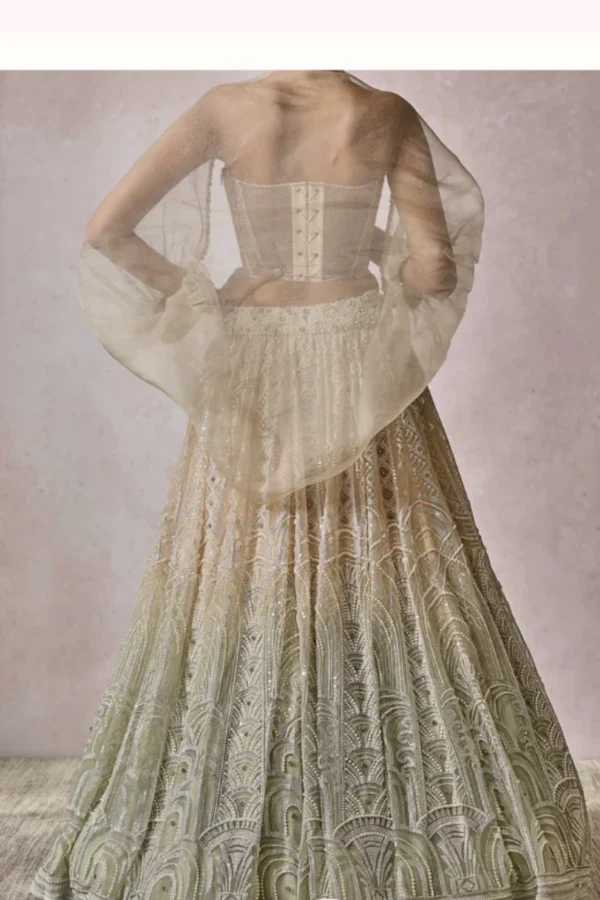 Tarun Tahiliani Cape and lehenga set - Image 2