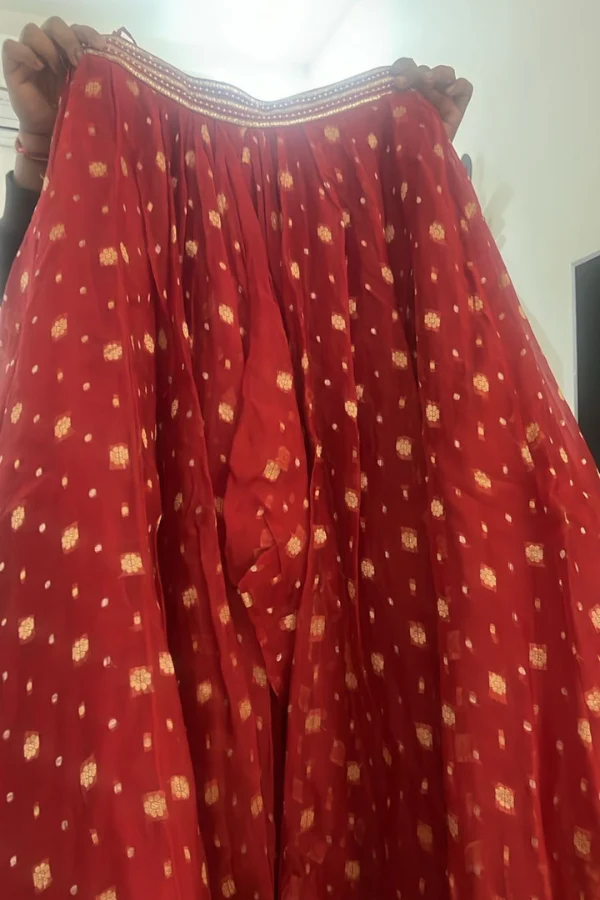 Tarun Tahiliani red skirt & top set - Image 4