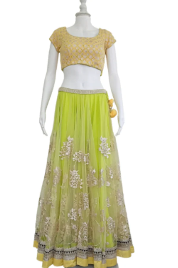 Varun and Nidhika lehenga set - Image 3